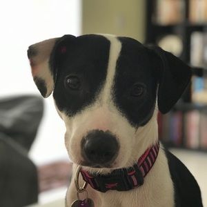 Meet your Posher, Karla